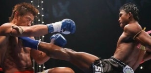 배워두면 심신 단련에 좋은 무술 BEST 5 (영상) | 디스패치 | 뉴스는 팩트다! 배워두면 심신 단련에 좋은 무술 BEST 5 (영상)