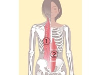 몸이 마법처럼 유연해지는 간단한 동작 2가지 | 디스패치 | 뉴스는 팩트다! 몸이 마법처럼 유연해지는 간단한 동작 2가지