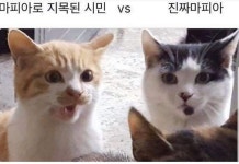 오피스의 일지 | 미니맵 자유 주제 | minimap.net