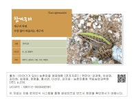 대한민국 국회도서관 | 정보검색 > 소장정보 검색 > 참개구리 참개구리
