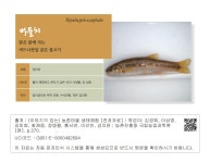 대한민국 국회도서관 | 정보검색 > 소장정보 검색 > 버들치 버들치