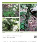 대한민국 국회도서관 | 정보검색 > 소장정보 검색 > 표 10-4 용아장성 주요 식물 표 10-4 용아장성 주요 식물