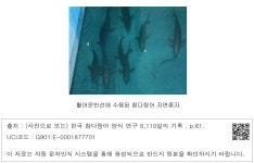 대한민국 국회도서관 | 정보검색 > 소장정보 검색 > 활어운반선에 수용된 참다랑어 자연종자 활어운반선에 수용된 참다랑어 자연종자