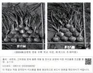 대한민국 국회도서관 | 정보검색 > 소장정보 검색 > <2019.06.13경북 안동 수확 비교 사진, 좌:비스트 우:대비종> 