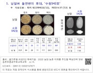 대한민국 국회도서관 | 정보검색 > 소장정보 검색 > 1. 남일벼 돌연변이 후대, 수원542호 1. 남일벼 돌연변이 후대, 수원542호