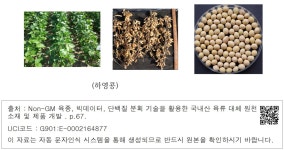 대한민국 국회도서관 | 정보검색 > 소장정보 검색 > (하영콩) (하영콩)