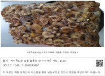 대한민국 국회도서관 | 정보검색 > 소장정보 검색 > <공주밤숯영농조합법인에서 가공을 진행한 구운밤> <공주밤숯영농조합법인에서 가공을... 