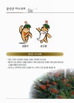 검색 > 금산통계연보 = Geumsan statistical yearbook. 2012(제52회) 금산통계연보 = Geumsan statistical yearbook. 2012(제52회) / 금산군