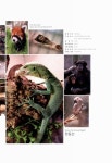 대한민국 국회도서관 | 정보검색 > 소장정보 검색 > 한동산 = Han Dong San : Seoul Zoo annual report, vol.35 2019 한동산 = Han... 