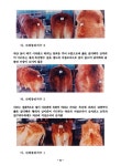 대한민국 국회도서관 | 정보검색 > 소장정보 검색 > 한우 번식 중점기술 한우 번식 중점기술 / 이명식 [저] ; 축산연구소 [편]