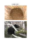 대한민국 국회도서관 | 정보검색 > 소장정보 검색 > 지리산 반달가슴곰 늦게 자고 일찍 일어나 지리산 반달가슴곰 늦게 자고 일찍 일어나... 