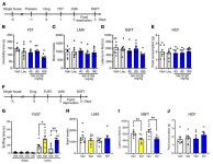 JCI - Sestrin modulator NV-5138 produces rapid antidepressant effects via direct mTORC1 activation