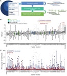 JCI - An unbiased approach to defining bona fide cancer neoepitopes that elicit immune-mediated cancer rejection