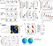 JCI - Reprogramming dysfunctional CD8+ T cells to promote properties associated with natural HIV control