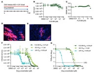 JCI - An allosteric inhibitor of sirtuin 2 deacetylase activity exhibits broad-spectrum antiviral activity