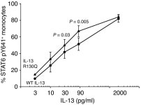 JCI - IL-13 R130Q, a common variant associated with allergy and asthma, enhances effector mechanisms essential for human allergic... 
