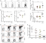 JCI - PD-L1 blockade synergizes with IL-2 therapy in reinvigorating exhausted T cells