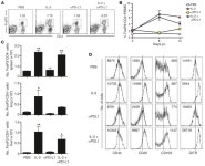 JCI - PD-L1 blockade synergizes with IL-2 therapy in reinvigorating exhausted T cells