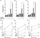 JCI - Targeting CD137 enhances the efficacy of cetuximab