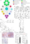 JCI - MicroRNA-140-5p and SMURF1 regulate pulmonary arterial hypertension