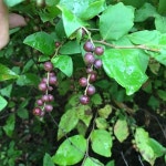 이름을 알려주세요