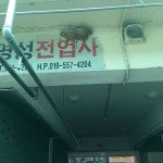 피라미