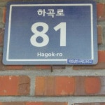 사철나무