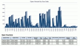 One View Reporting for Financial Management