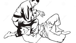 감동의 주짓수 경력테스트 .tet - UFC 갤러리