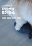 고양이 장난감 > 초코펫 고양이 캣닢 장난감 낭만캣닢토이 | 오늘의집 쇼핑 초코펫 고양이 캣닢 장난감 낭만캣닢토이
