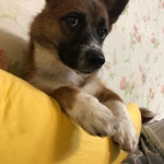 왈츠 (@waltzz66) — 62 answers, 63 likes | ASKfm 왈츠 (@waltzz66). Ask me anything on ASKfm