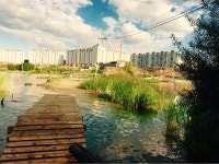 Moose (@lMrAndyl) — 939 answers, 1292576 likes | ASKfm Moose (@lMrAndyl). Ask me anything on ASKfm