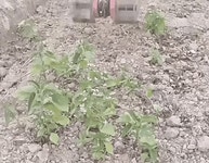 예초기 로터리 부착형 제초기 밭갈이 호미 괭이 쟁이 잡초 제거기... 부착형 제초기 밭갈이 호미 괭이 쟁이 잡초 제거기 로타리기 텃밭 개간 관리기