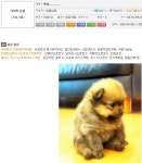 여러분 영양탕님을 조심하세요