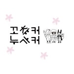 버스커버스커도 좋지만