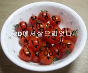 개-씨바리