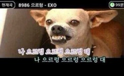 나 으르렁 으르렁 으르렁대