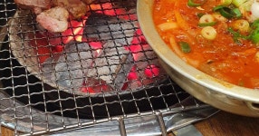 백석에서 갈매기 달려봅니다 - DVDPrime