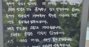 [50억] 마산 내서 초밥집 쉐프님의 글 - DVDPrime