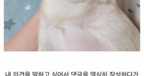 커뮤니티와 함께 늙어가면서 생기는 습관 - DVDPrime