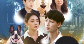 튜브펫 주식회사 (Tubepetcompany , 2021) - DPrime