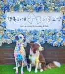 디너의여왕 - [배송] 마이비밀 밸런스도시락 10종 10팩 3차