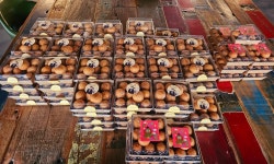 디너의여왕 - [경기 안성][릴스] 도너츠윤커피누리 2차