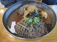 디너의여왕 - [경기 파주][릴스] 방태막국수 헤이리점 25차 디너의여왕 - [경기 파주][릴스] 방태막국수 헤이리점  25차