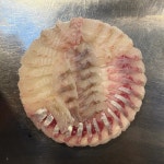 디너의여왕 - [경남 창원][릴스] 어판장 해운점 4차