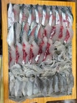 디너의여왕 - [서울 양천] 광해수산횟집 4차