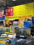 디너의여왕 - [충남 서산][릴스] 영창호수산 삼길포수산물직매장 14차