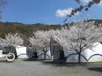 디너의여왕 - [경북 경주][릴스] 산내자연캠프 1차