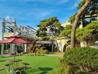 디너의여왕 - [경기 파주][릴스] 215카페캠핑장 1차