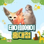 디너의여왕 - [서울 마포] 테이블에이 홍대점 1차